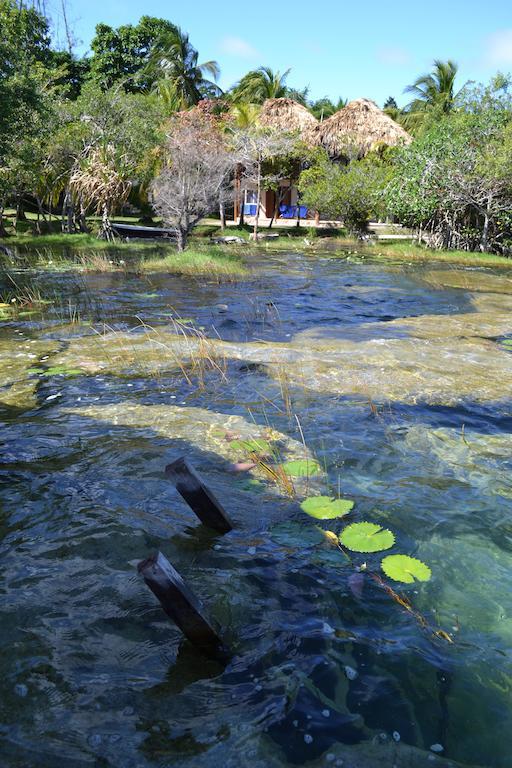 Hotel Casa Caracol Bacalar Zewnętrze zdjęcie