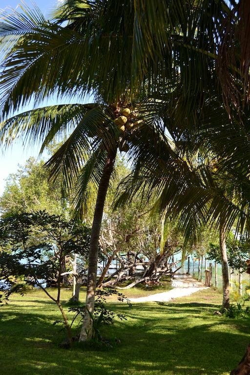 Hotel Casa Caracol Bacalar Zewnętrze zdjęcie
