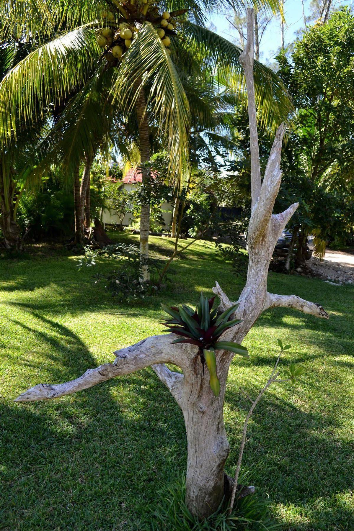 Hotel Casa Caracol Bacalar Zewnętrze zdjęcie